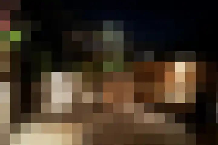 Bieslook 28 Uithoorn thumbnail 10