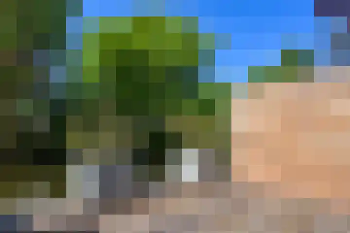 Bieslook 28 Uithoorn thumbnail 11