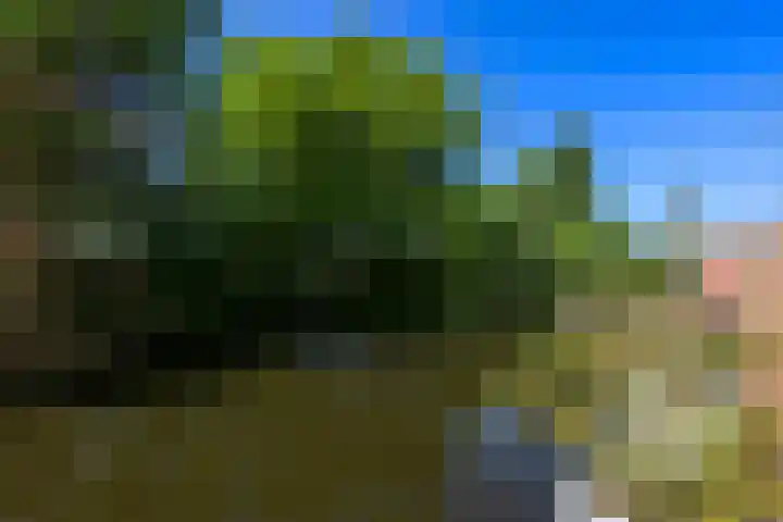 Bieslook 28 Uithoorn thumbnail 12