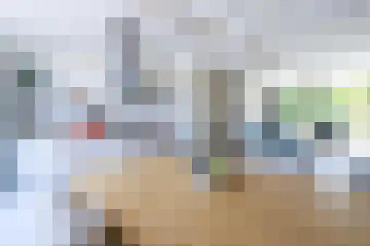 Bieslook 28 Uithoorn thumbnail 20