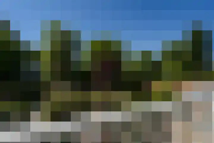 Bieslook 28 Uithoorn thumbnail 24
