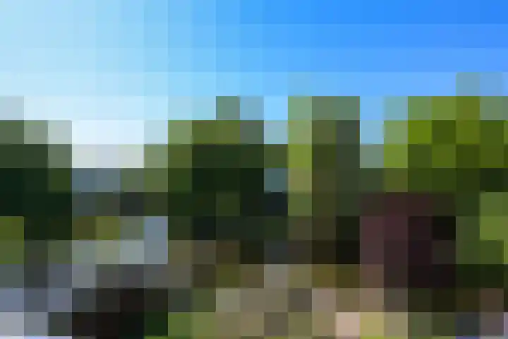 Bieslook 28 Uithoorn thumbnail 29