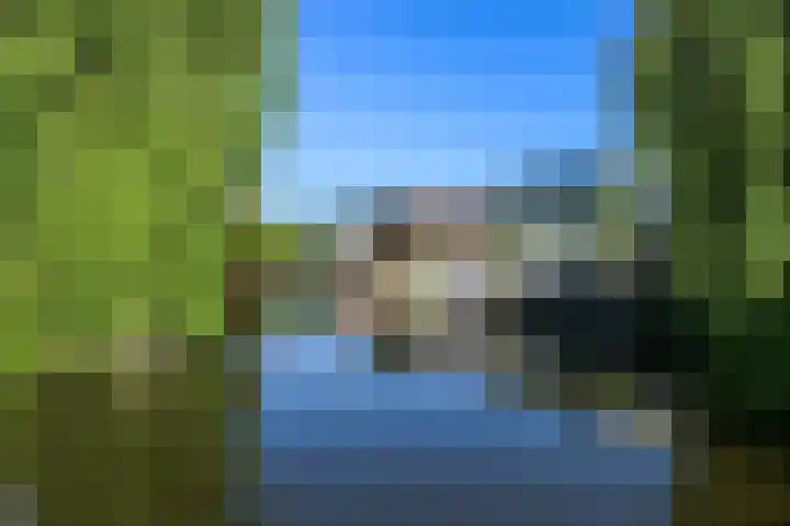 Bieslook 28 Uithoorn thumbnail 34
