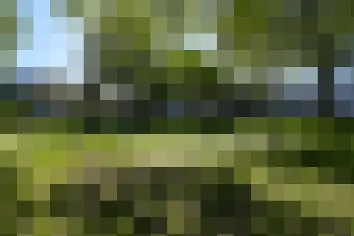Bieslook 28 Uithoorn thumbnail 35