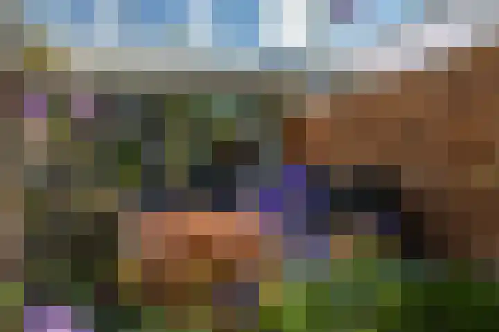 Bieslook 28 Uithoorn thumbnail 4