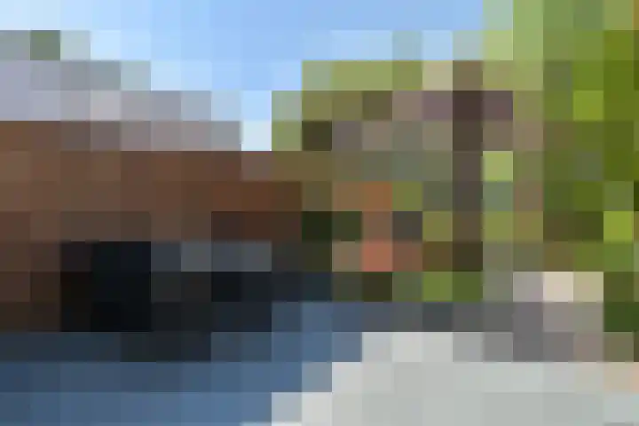 Bieslook 28 Uithoorn thumbnail 6