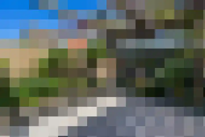Bieslook 28 Uithoorn thumbnail 7