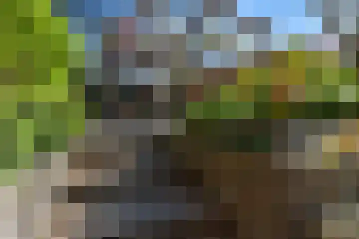 Bieslook 28 Uithoorn thumbnail 8
