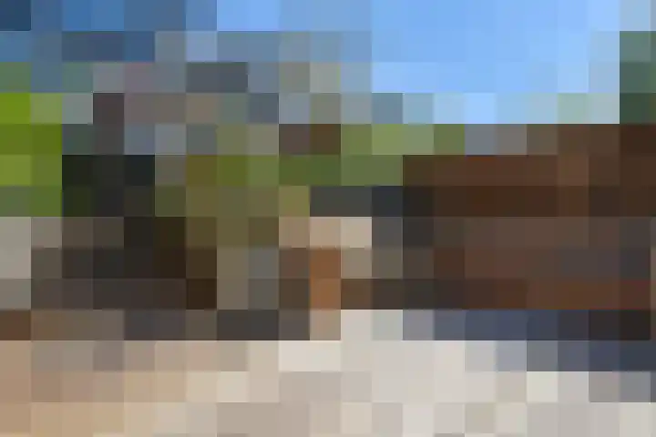 Bieslook 28 Uithoorn thumbnail 9