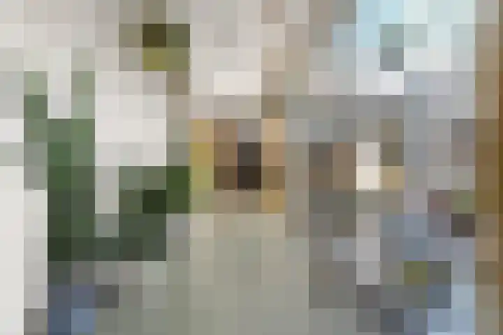 Biesmanstraat 3 Nijmegen thumbnail 16