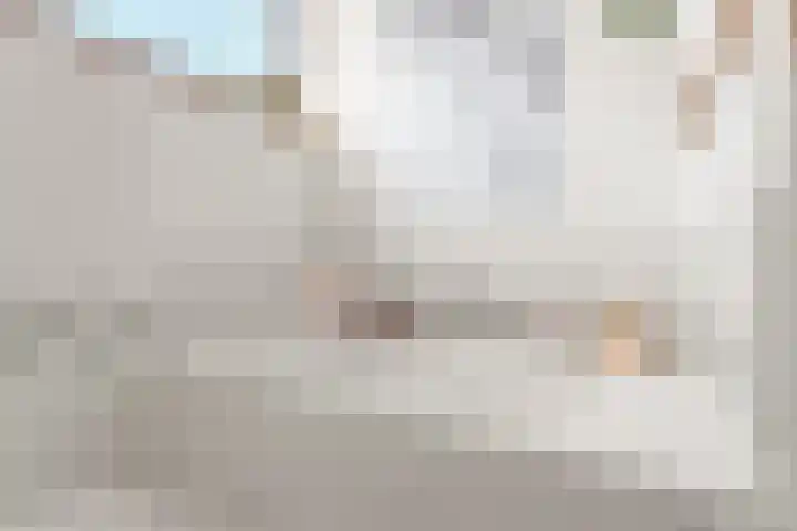 Biesmanstraat 3 Nijmegen thumbnail 39