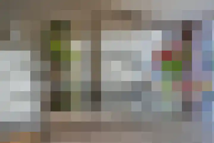 Biest 128 Weert thumbnail 11