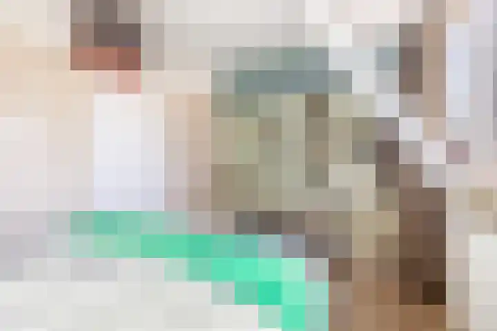 Biest 128 Weert thumbnail 17
