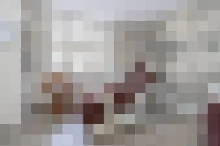 Biest 128 Weert thumbnail 18