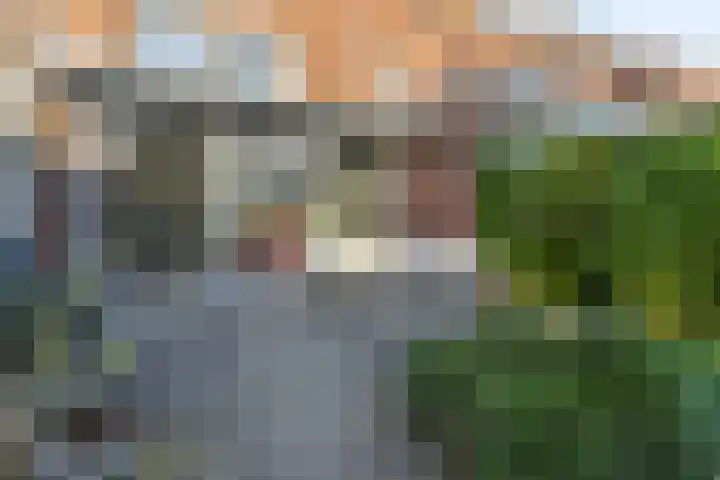 Biest 128 Weert thumbnail 33