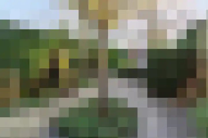 Biest 128 Weert thumbnail 35