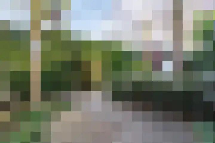 Biest 128 Weert thumbnail 36