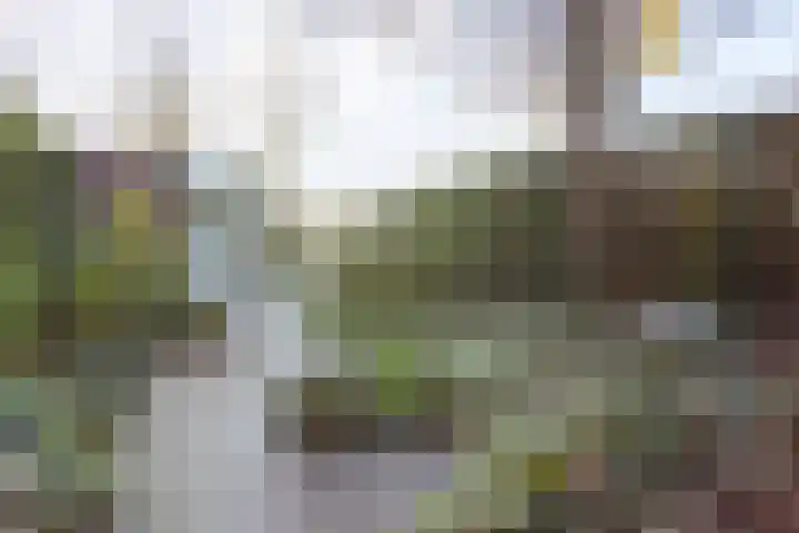 Biest 128 Weert thumbnail 37