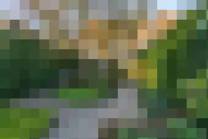Biest 128 Weert thumbnail 38