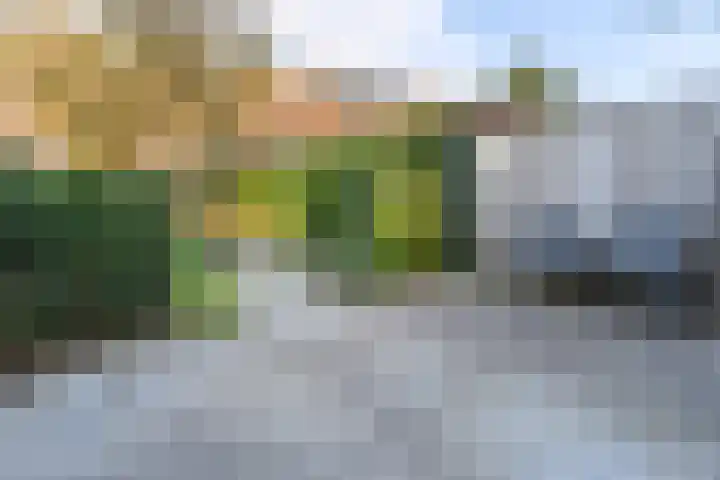 Biest 128 Weert thumbnail 39