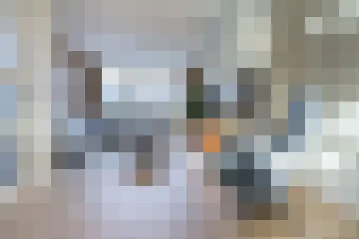 Biest 128 Weert thumbnail 4