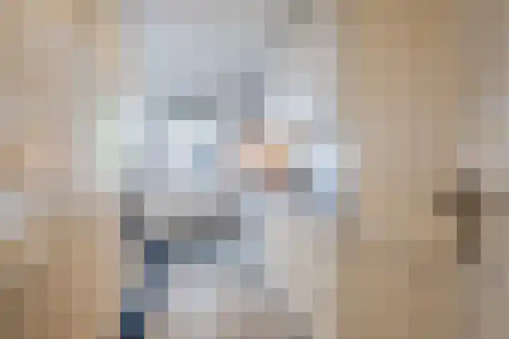 Biesterweg 31 Eindhoven thumbnail 16