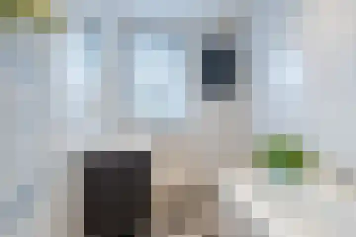 Biesterweg 31 Eindhoven thumbnail 26
