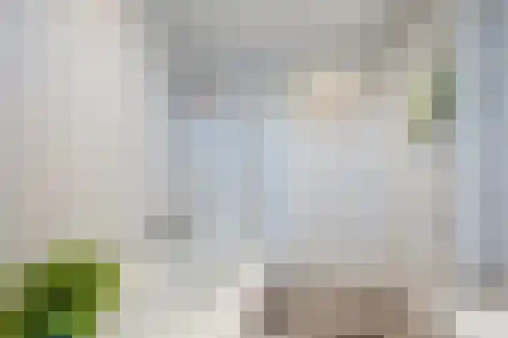 Biesterweg 31 Eindhoven thumbnail 27