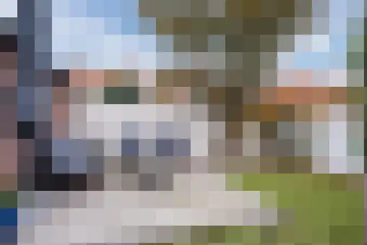 Biesterweg 31 Eindhoven thumbnail 36