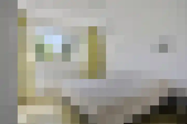 Biesterweg 67 Eindhoven thumbnail 17