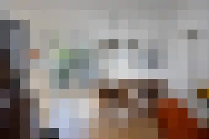 Biesterweg 67 Eindhoven thumbnail 8