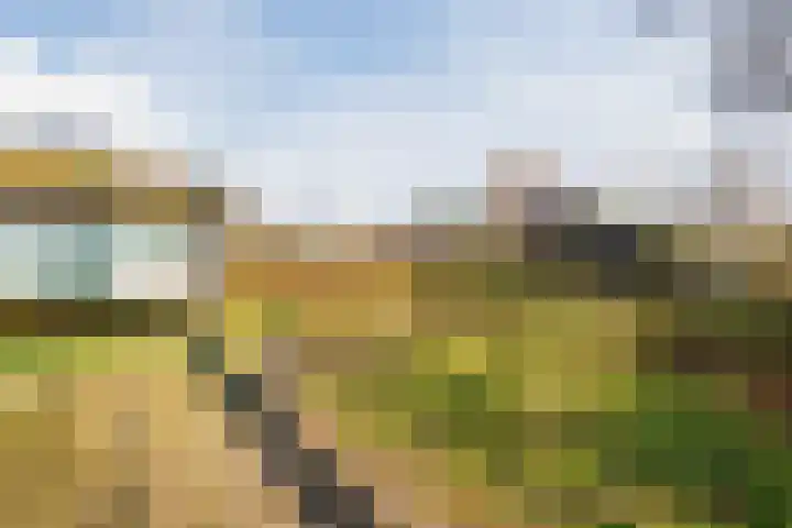 Biesveld 19 Bergeijk thumbnail 22