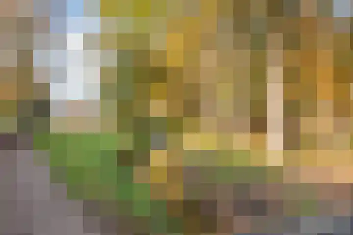 Biesveld 19 Bergeijk thumbnail 23