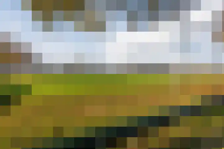 Biesveld 19 Bergeijk thumbnail 24