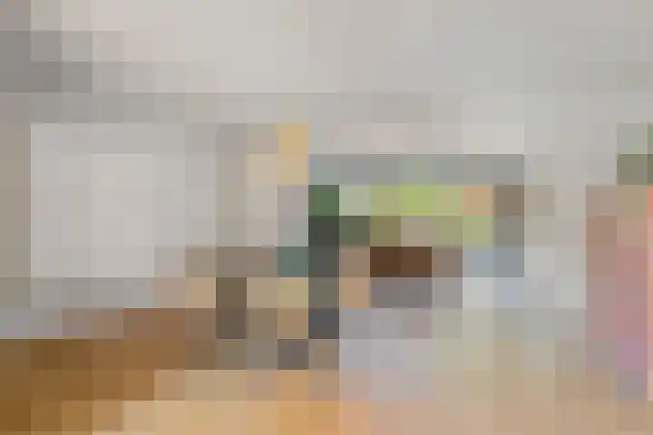 Biesveld 4 Rijsbergen thumbnail 10