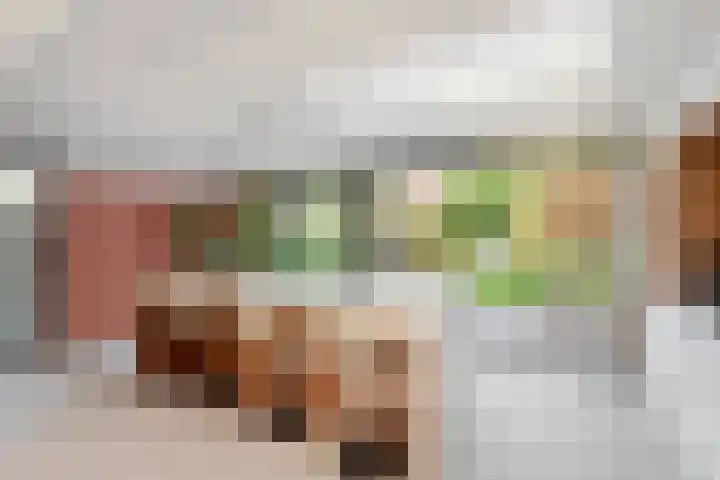 Biesveld 4 Rijsbergen thumbnail 12