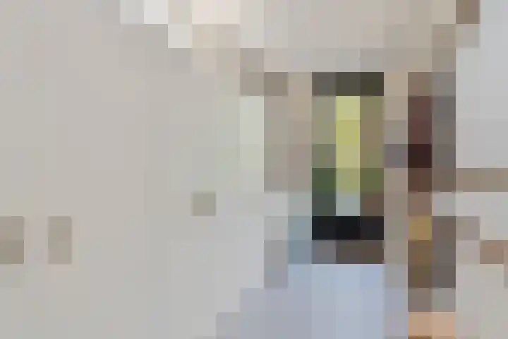 Biesveld 4 Rijsbergen thumbnail 20