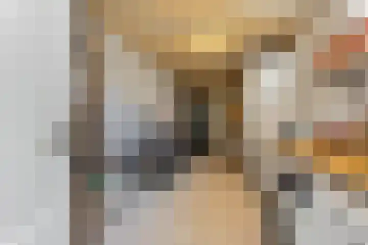 Biesveld 4 Rijsbergen thumbnail 21