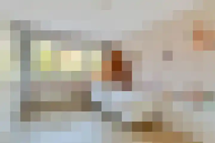 Biesveld 4 Rijsbergen thumbnail 25