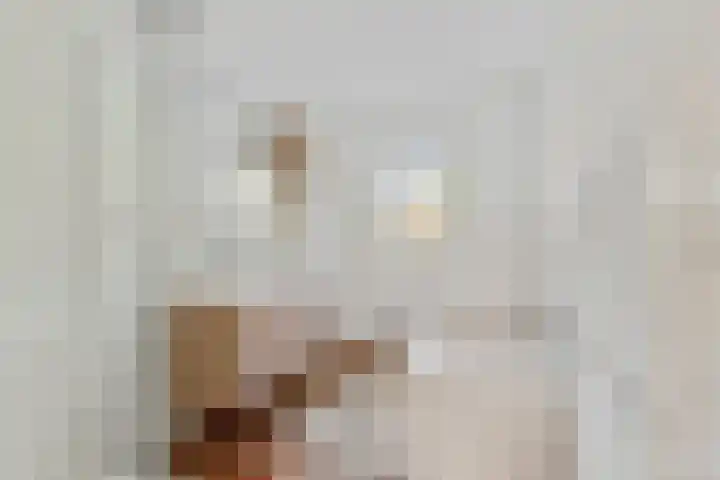 Biesveld 4 Rijsbergen thumbnail 29