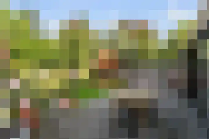 Biesveld 4 Rijsbergen thumbnail 35