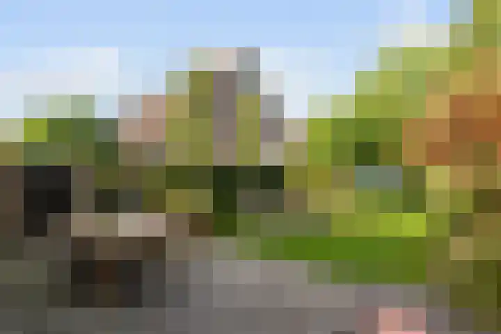 Biesveld 4 Rijsbergen thumbnail 36