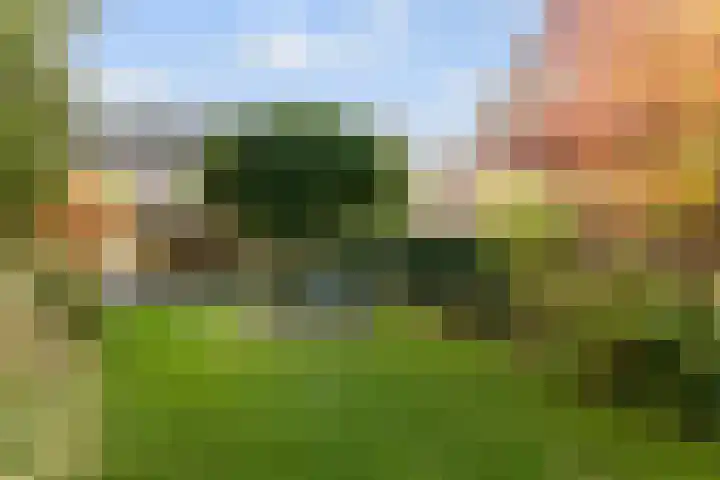 Biesveld 4 Rijsbergen thumbnail 37