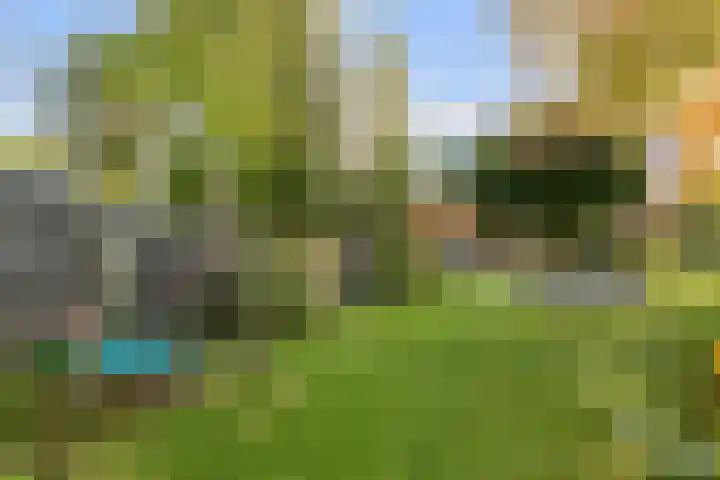 Biesveld 4 Rijsbergen thumbnail 38