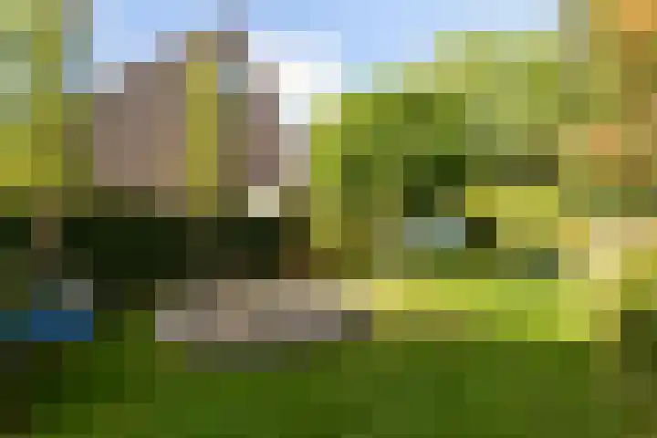 Biesveld 4 Rijsbergen thumbnail 39