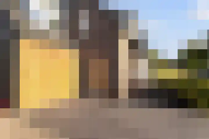 Biesveld 4 Rijsbergen thumbnail 41