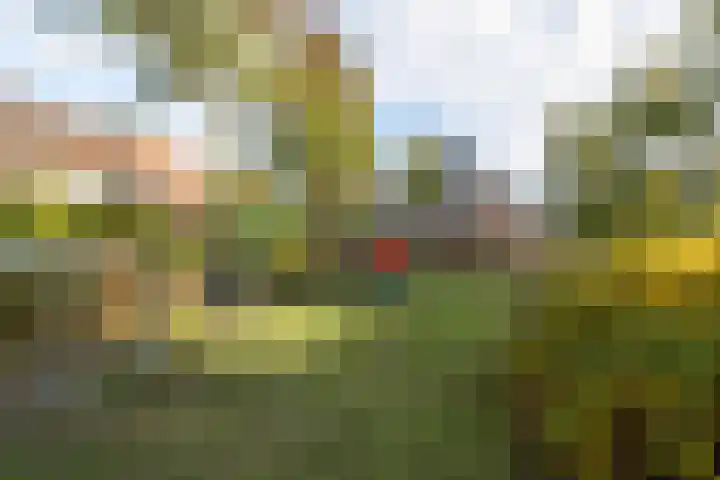 Biesveld 4 Rijsbergen thumbnail 42