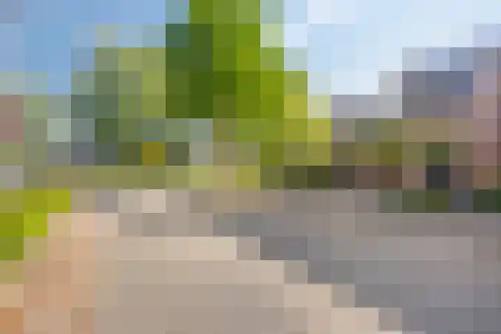 Biesveld 7 Someren thumbnail 10
