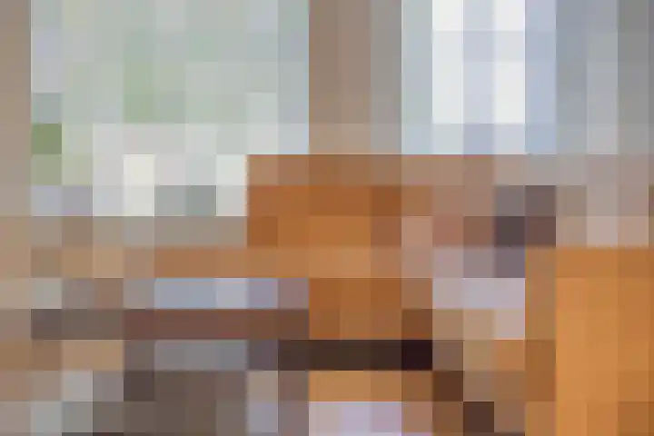 Biesveld 7 Someren thumbnail 16