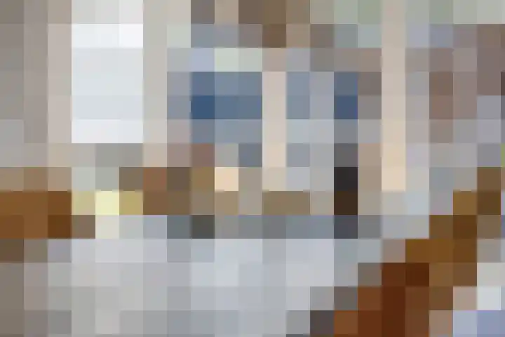 Biesveld 7 Someren thumbnail 24